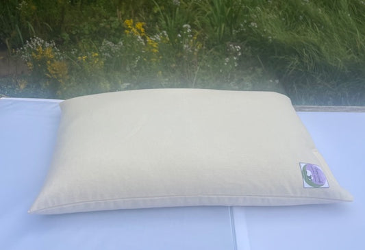 Organic American Standard Buckwheat Hull Pillow